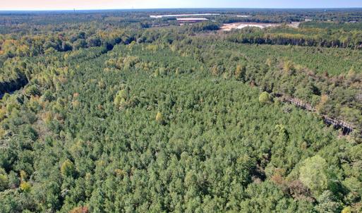 Photo #9 of Off Dry Bridge Road, Ruther Glen , VA 27.8 acres