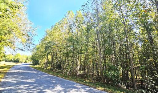 Photo #11 of Off Dry Bridge Road, Ruther Glen, VA 3.0 acres