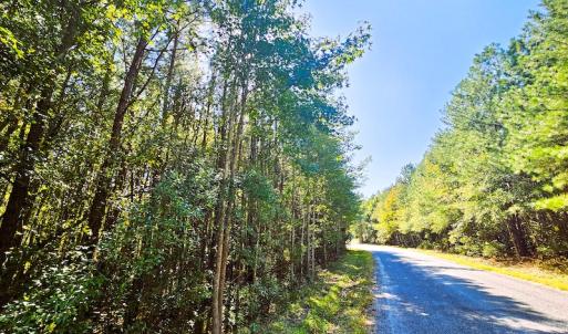 Photo #12 of Off Dry Bridge Road, Ruther Glen, VA 3.0 acres