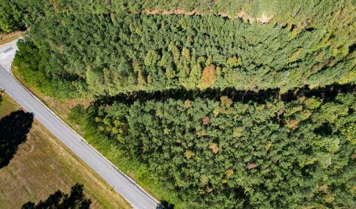 Photo #3 of Off Dry Bridge Road, Ruther Glen, VA 3.0 acres
