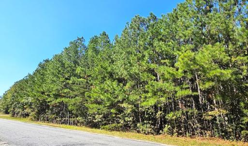Photo #5 of Off Dry Bridge Road, Ruther Glen, VA 3.0 acres