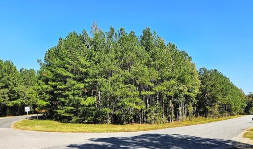 Photo #6 of Off Dry Bridge Road, Ruther Glen, VA 3.0 acres