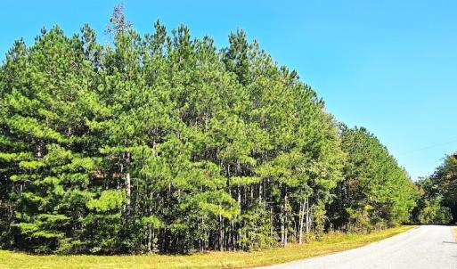 Photo #7 of Off Dry Bridge Road, Ruther Glen, VA 3.0 acres