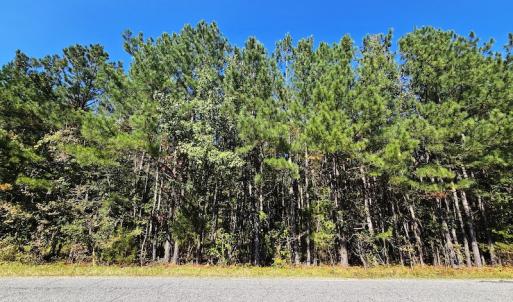 Photo #8 of Off Dry Bridge Road, Ruther Glen, VA 3.0 acres