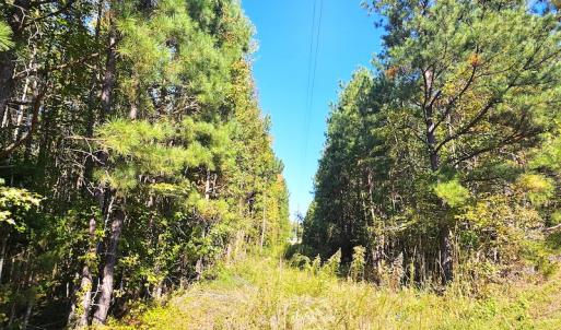 Photo #9 of Off Dry Bridge Road, Ruther Glen, VA 3.0 acres