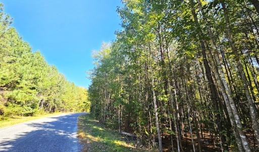 Photo #10 of Off Dry Bridge Road, Ruther Glen, VA 3.0 acres