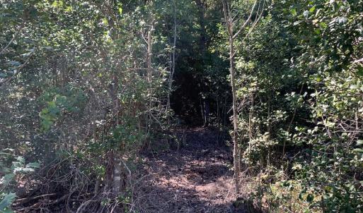 Photo #16 of Off Dickens Lane, Capron, VA 20.5 acres