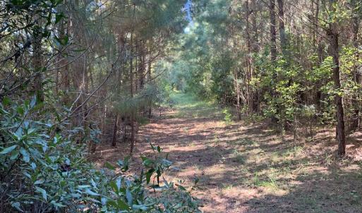 Photo #17 of Off Dickens Lane, Capron, VA 20.5 acres