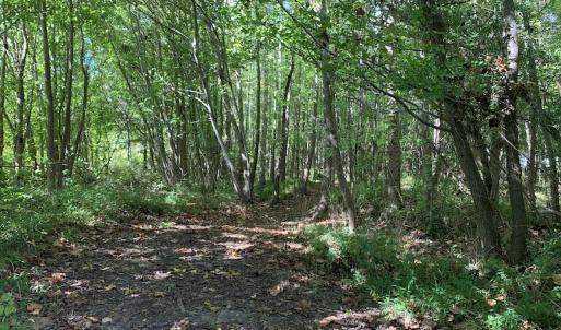 Photo #30 of Off Dickens Lane, Capron, VA 20.5 acres