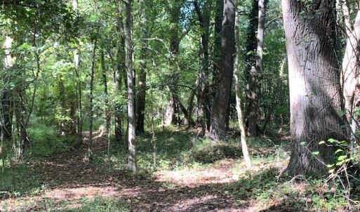 Photo #32 of Off Dickens Lane, Capron, VA 20.5 acres