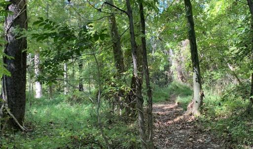 Photo #33 of Off Dickens Lane, Capron, VA 20.5 acres