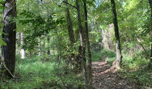 Photo #33 of Off Dickens Lane, Capron, VA 20.5 acres