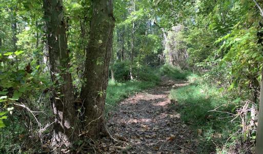 Photo #34 of Off Dickens Lane, Capron, VA 20.5 acres