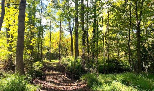 Photo #35 of Off Dickens Lane, Capron, VA 20.5 acres