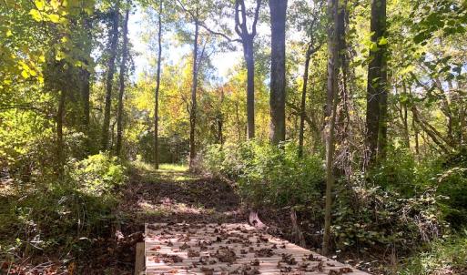 Photo #36 of Off Dickens Lane, Capron, VA 20.5 acres