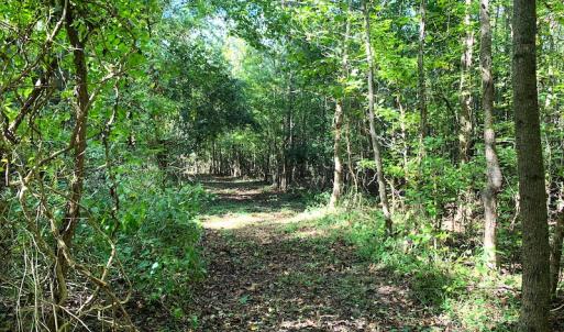 Photo #37 of Off Dickens Lane, Capron, VA 20.5 acres