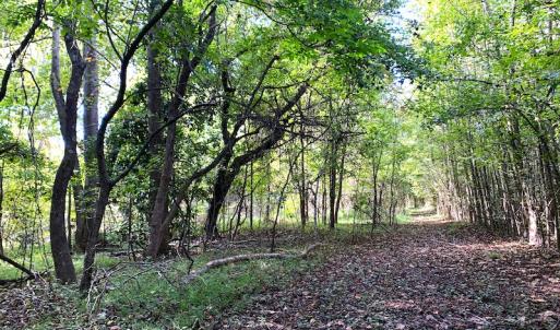 Photo #38 of SOLD property in Off Dickens Lane, Capron, VA 20.5 acres