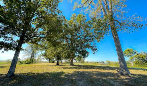 Photo #27 of SOLD property in Off Hughes Mill Road, Burlington, NC 2.5 acres