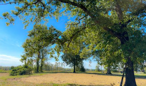 Photo #30 of SOLD property in Off Hughes Mill Road, Burlington, NC 2.5 acres