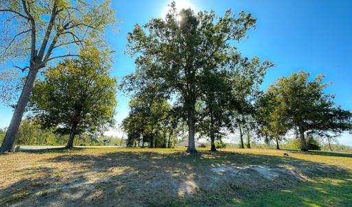Photo #33 of SOLD property in Off Hughes Mill Road, Burlington, NC 2.5 acres