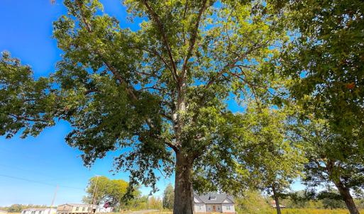 Photo #45 of SOLD property in Off Hughes Mill Road, Burlington, NC 2.5 acres