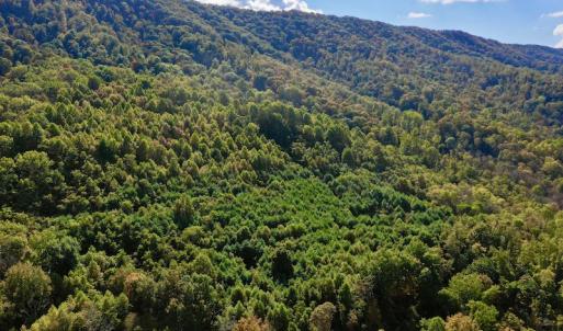 Photo #18 of 414 Niday Dr , Narrows, VA 590.2 acres