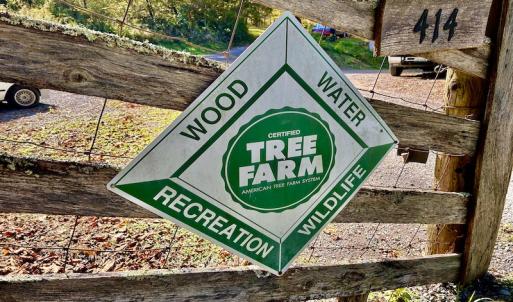 Photo #22 of 414 Niday Dr , Narrows, VA 590.2 acres