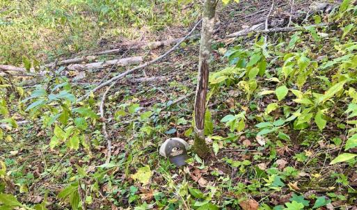 Photo #58 of 414 Niday Dr , Narrows, VA 590.2 acres
