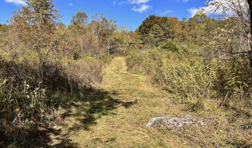 Photo #60 of 414 Niday Dr , Narrows, VA 590.2 acres