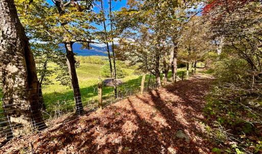 Photo #69 of 414 Niday Dr , Narrows, VA 590.2 acres