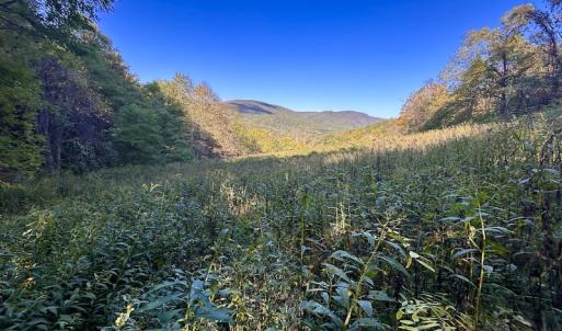 Photo #72 of 414 Niday Dr , Narrows, VA 590.2 acres