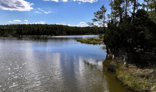 Photo #13 of SOLD property in Off Germantown Rd, Scranton, NC 9.5 acres
