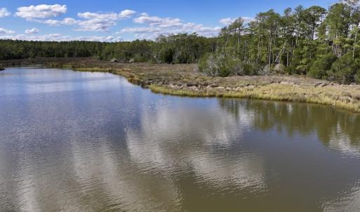 Photo #15 of SOLD property in Off Germantown Rd, Scranton, NC 9.5 acres
