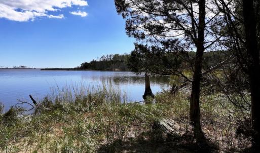 Photo #21 of SOLD property in Off Germantown Rd, Scranton, NC 9.5 acres