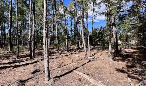 Photo #25 of SOLD property in Off Germantown Rd, Scranton, NC 9.5 acres