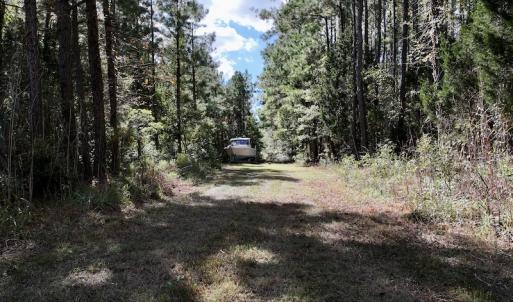 Photo #30 of SOLD property in Off Germantown Rd, Scranton, NC 9.5 acres