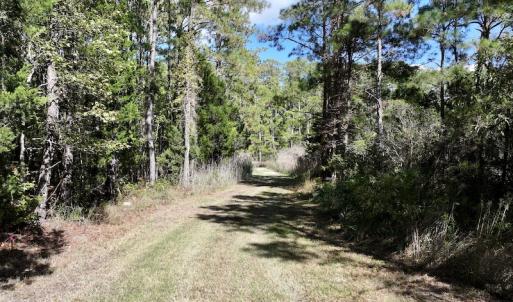Photo #32 of SOLD property in Off Germantown Rd, Scranton, NC 9.5 acres