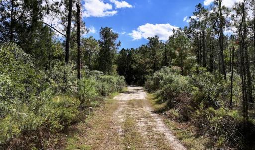 Photo #33 of SOLD property in Off Germantown Rd, Scranton, NC 9.5 acres