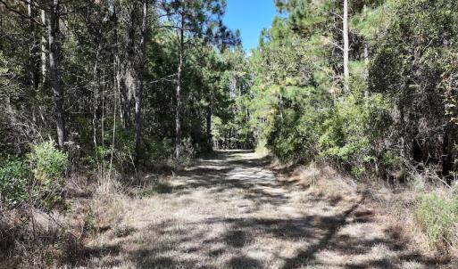 Photo #34 of SOLD property in Off Germantown Rd, Scranton, NC 9.5 acres