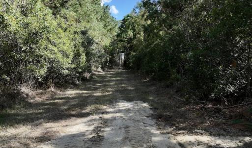 Photo #35 of SOLD property in Off Germantown Rd, Scranton, NC 9.5 acres