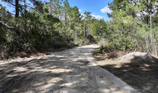 Photo #38 of SOLD property in Off Germantown Rd, Scranton, NC 9.5 acres