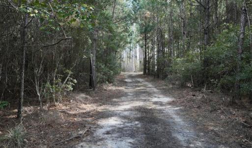 Photo #39 of SOLD property in Off Germantown Rd, Scranton, NC 9.5 acres