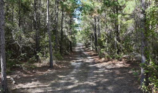 Photo #40 of SOLD property in Off Germantown Rd, Scranton, NC 9.5 acres
