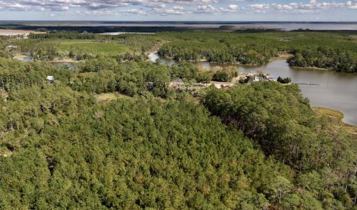 Photo #8 of SOLD property in Off Germantown Rd, Scranton, NC 9.5 acres