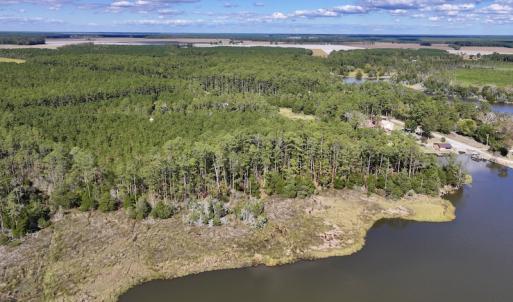 Photo #9 of SOLD property in Off Germantown Rd, Scranton, NC 9.5 acres