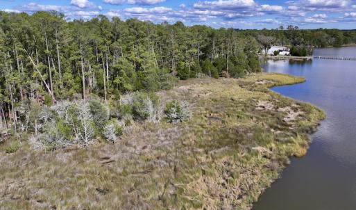 Photo #10 of SOLD property in Off Germantown Rd, Scranton, NC 9.5 acres