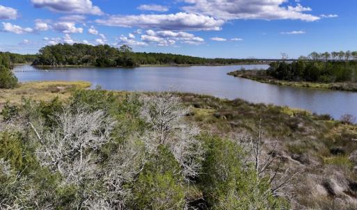 Photo #47 of SOLD property in Off Germantown Rd, Scranton, NC 9.5 acres