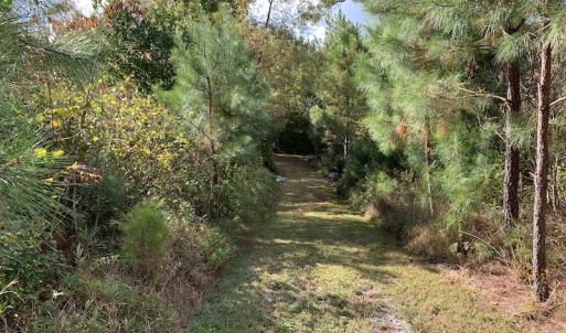 Photo #19 of SOLD property in 25102 Drewry Rd., Drewryville, VA 5.0 acres