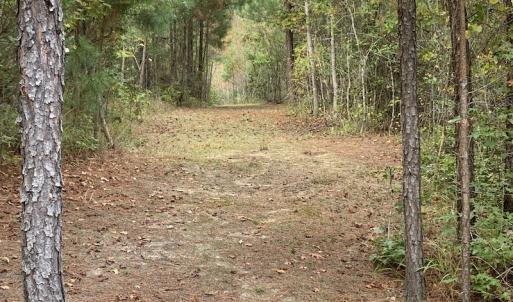 Photo #23 of 25102 Drewry Rd., Drewryville, VA 5.0 acres