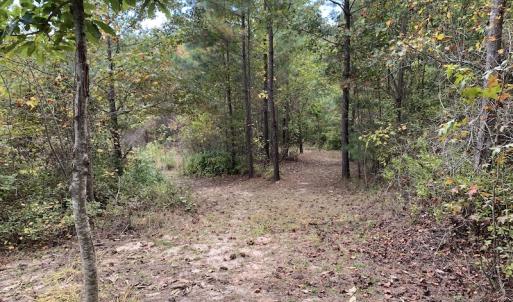 Photo #25 of 25102 Drewry Rd., Drewryville, VA 5.0 acres